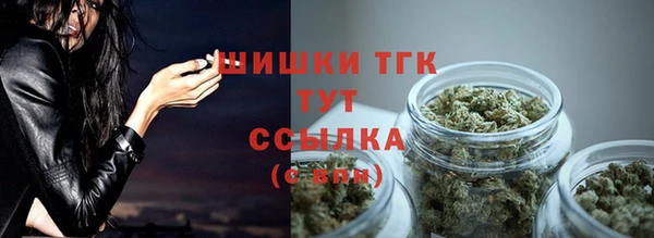 сатива Новый Уренгой