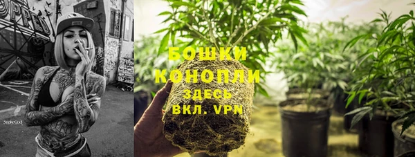 стафф Орехово-Зуево