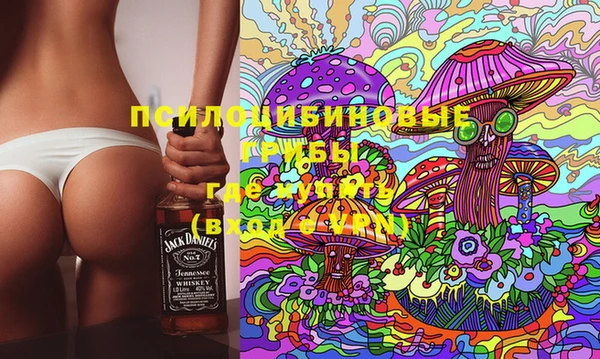 ECSTASY Елизово