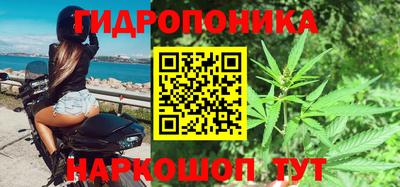 spice Аргун