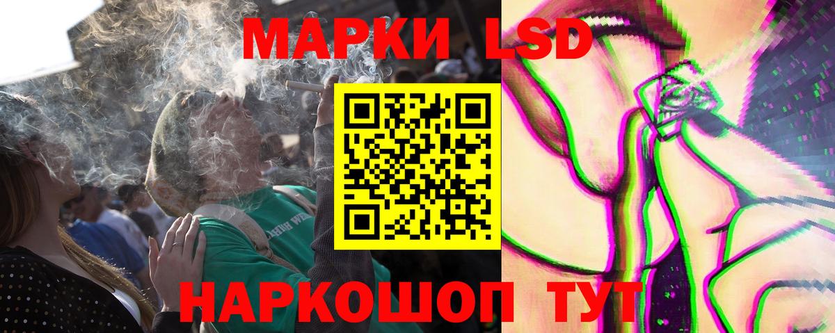 A-PVP Аша