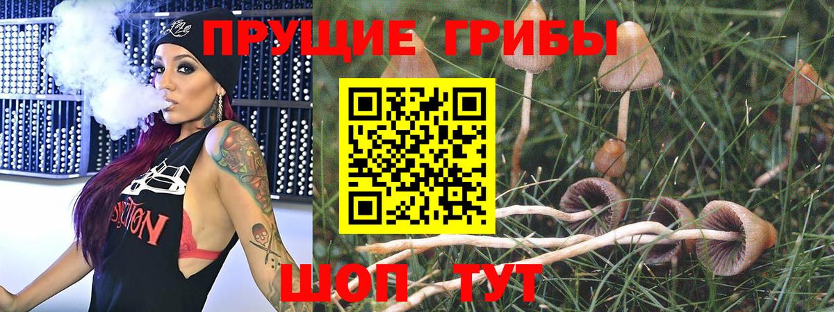 Псилоцибиновые грибы ЛСД  Вход с VPN  Аша 