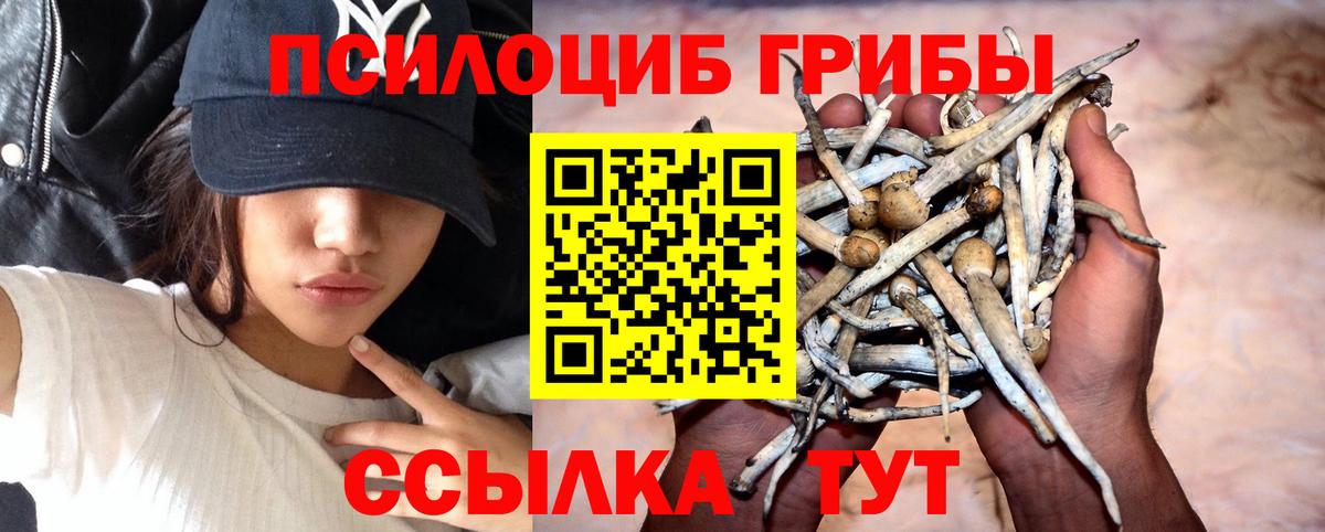 Галлюциногенные грибы Psilocybine cubensis  Аша 