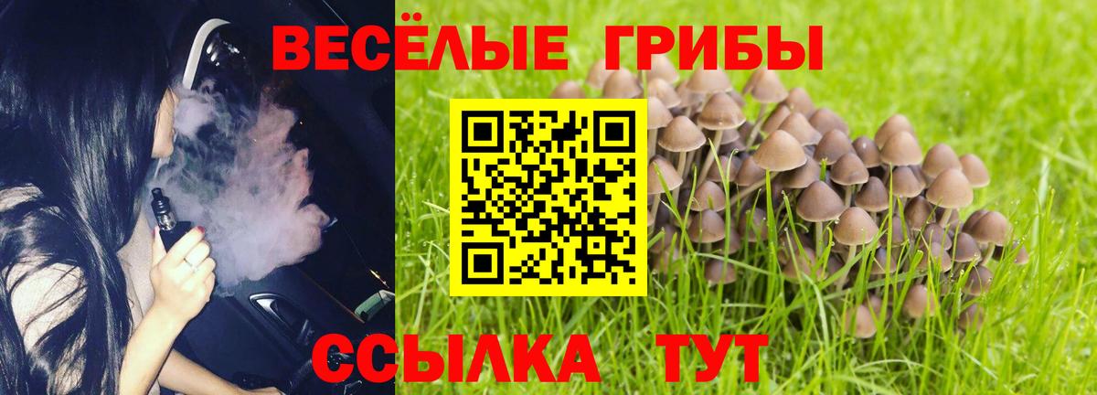 Галлюциногенные грибы GOLDEN TEACHER Аша